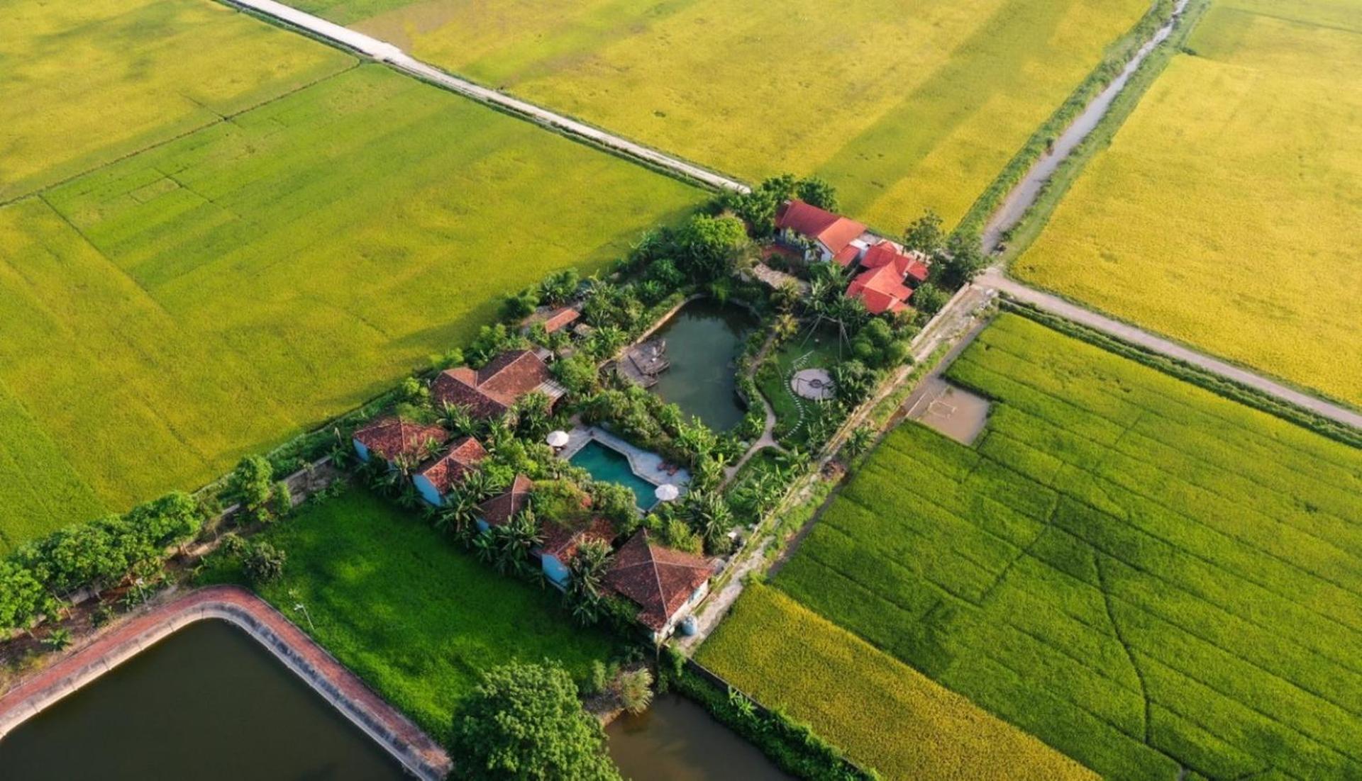 Chezcao Rice Field Ecolodge نينه بينه المظهر الخارجي الصورة